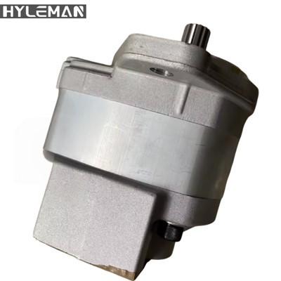 D85 Hidraulička pumpa Zupčasta pilot pumpa